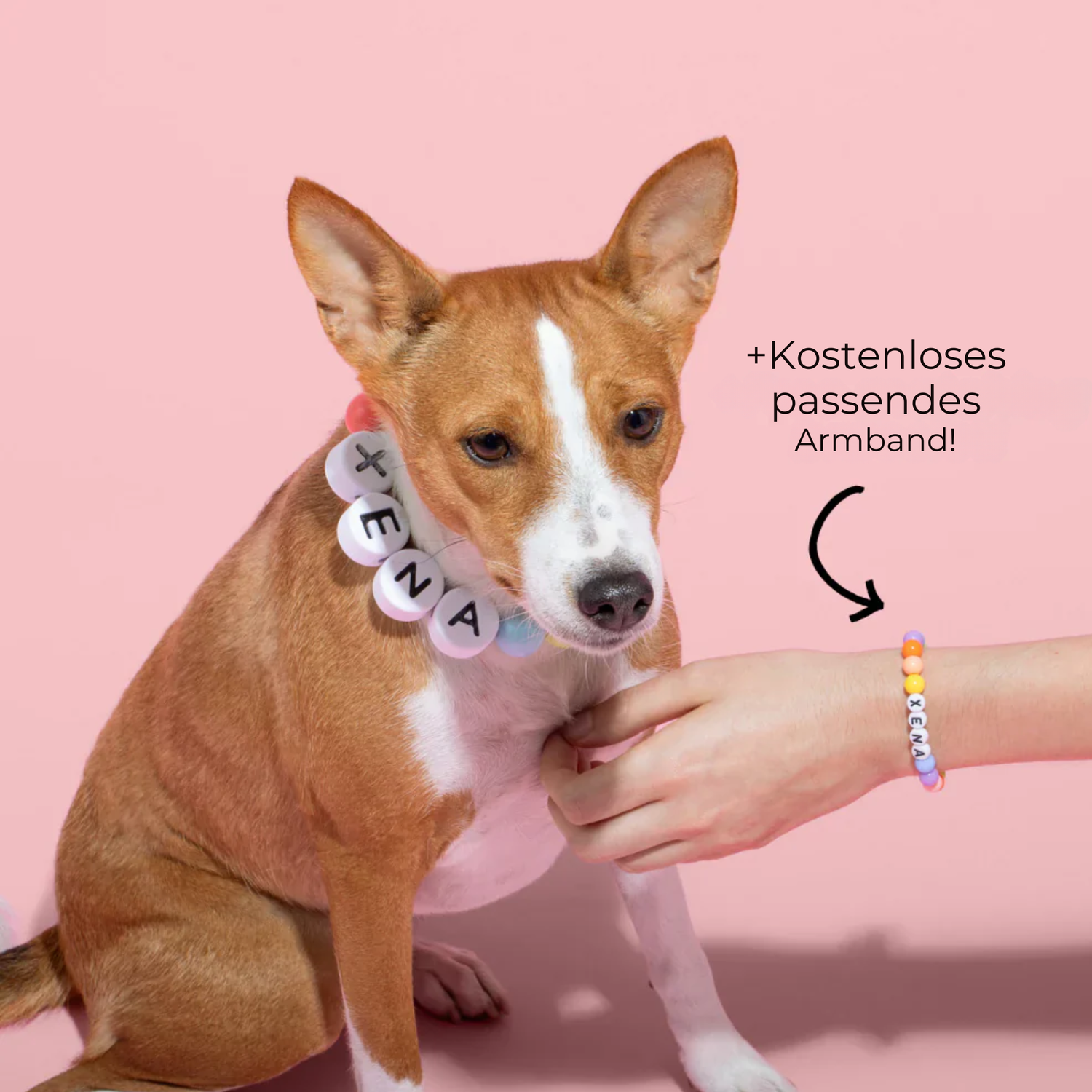 Paw&Me™ – Das Freundschafts-Set für dich & deinen Hund